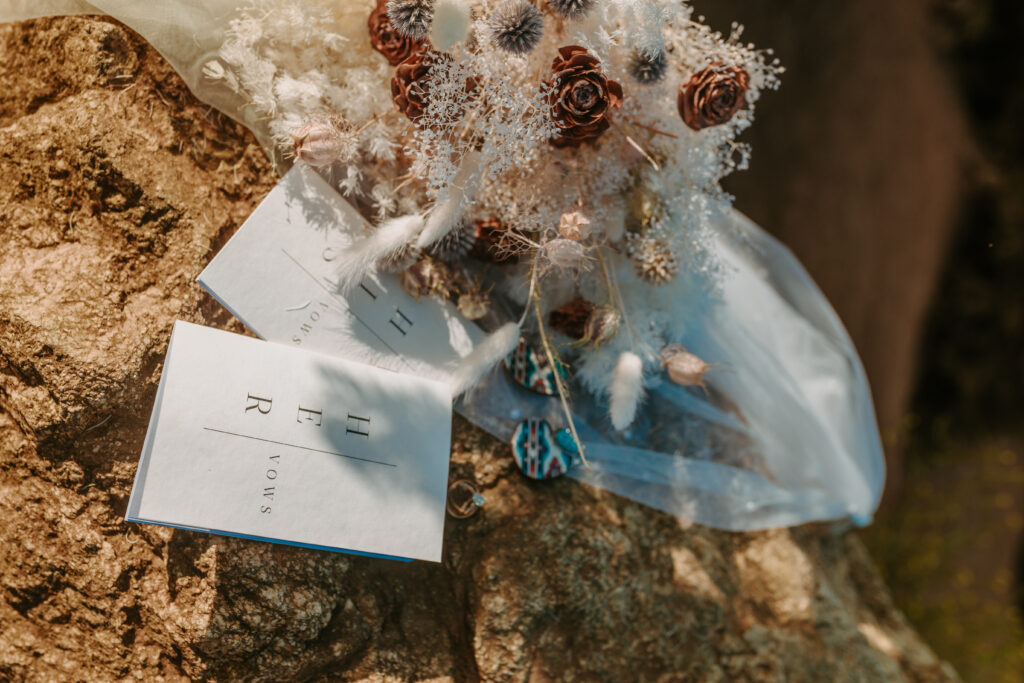 Big Sur Elopement- jessicafriggephotography