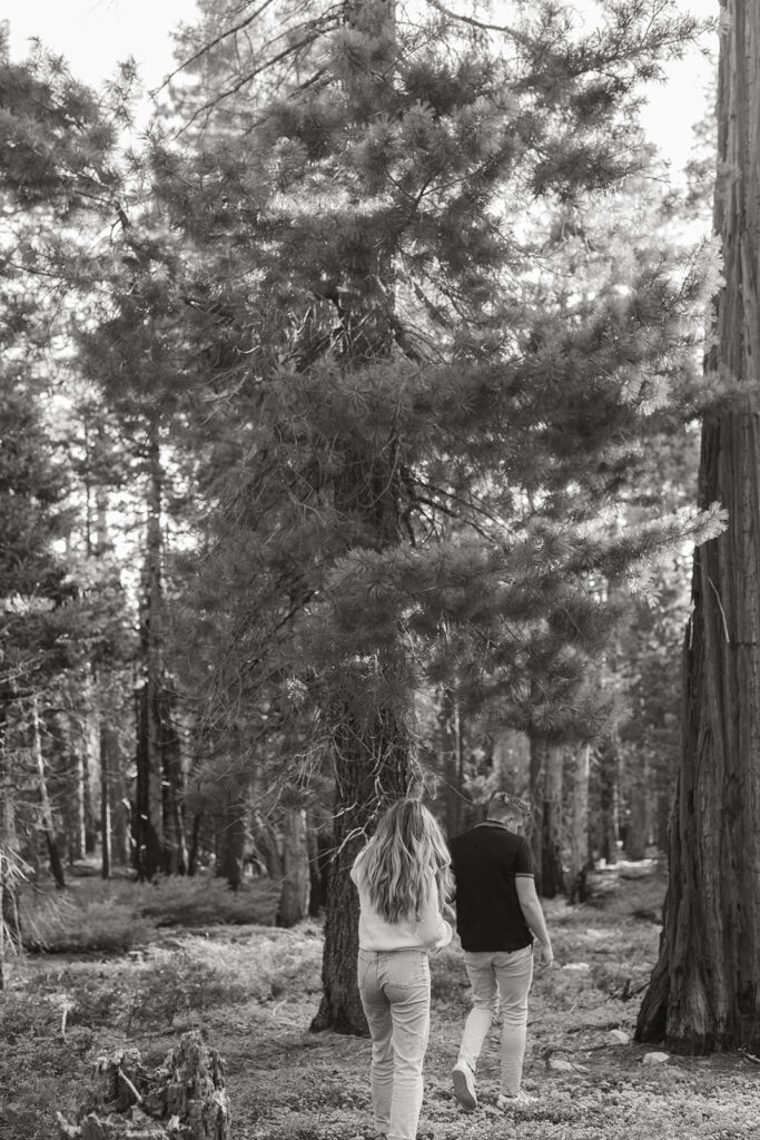 Jessica Frigge Photography is a Lake Tahoe engagement and wedding photographer