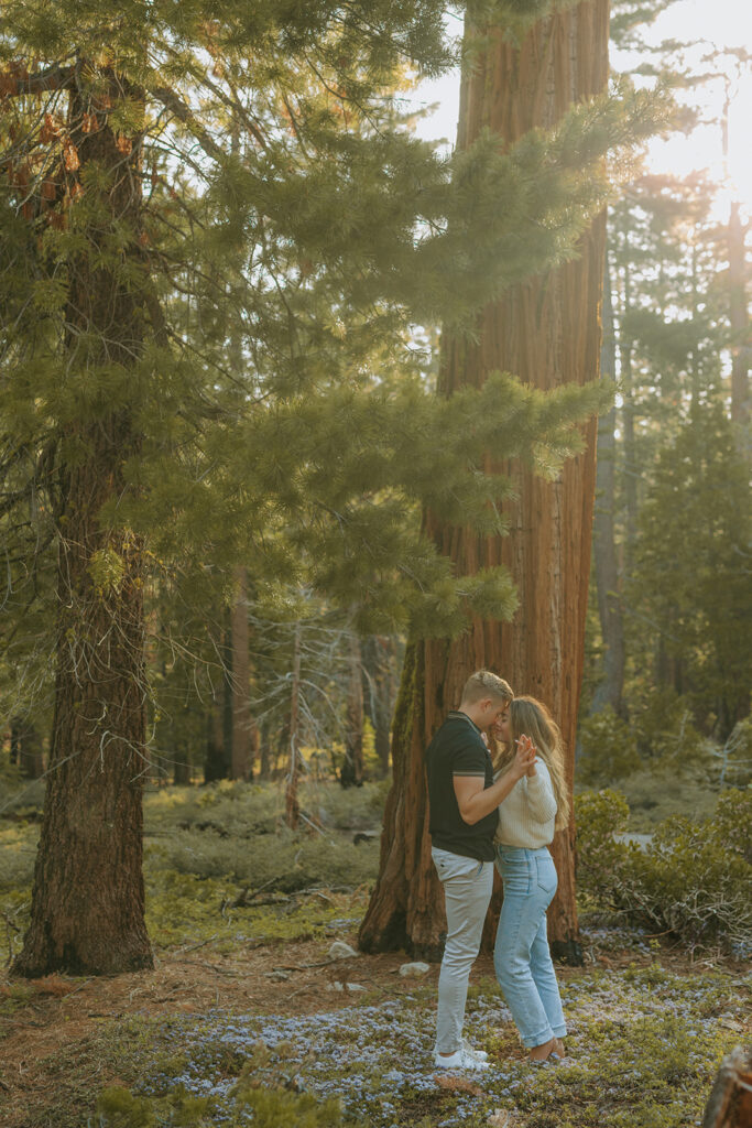 Jessica Frigge Photography is a Lake Tahoe engagement and wedding photographer