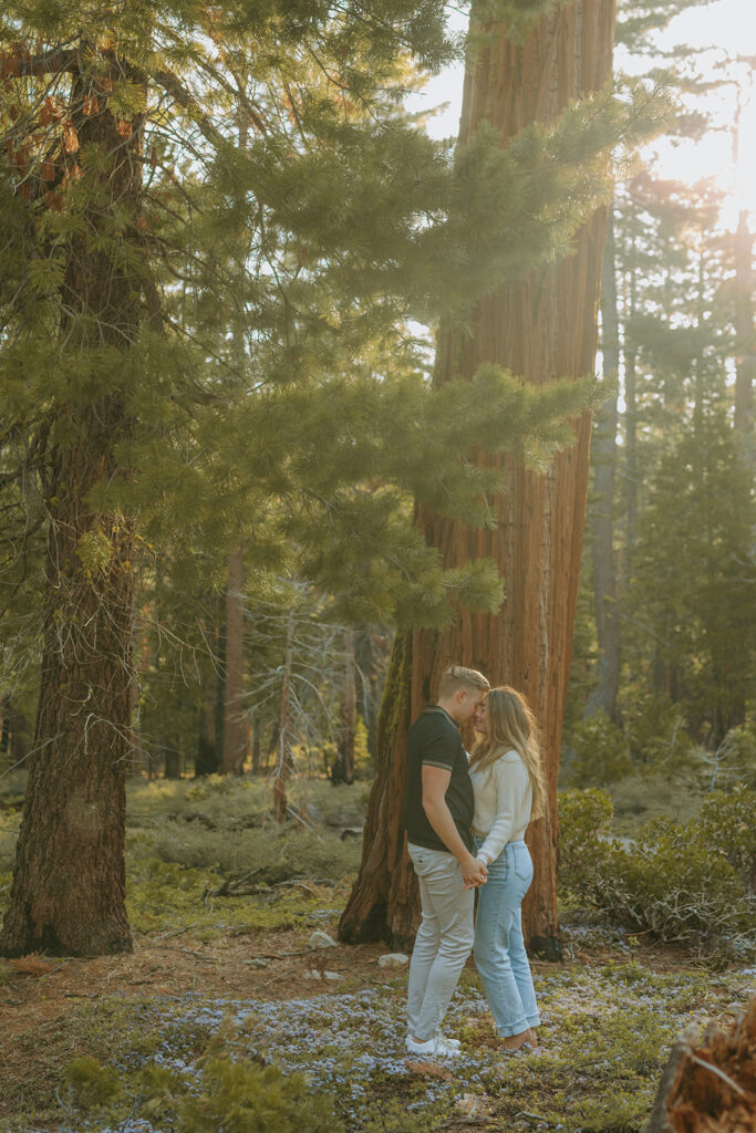 Jessica Frigge Photography is a Lake Tahoe engagement and wedding photographer