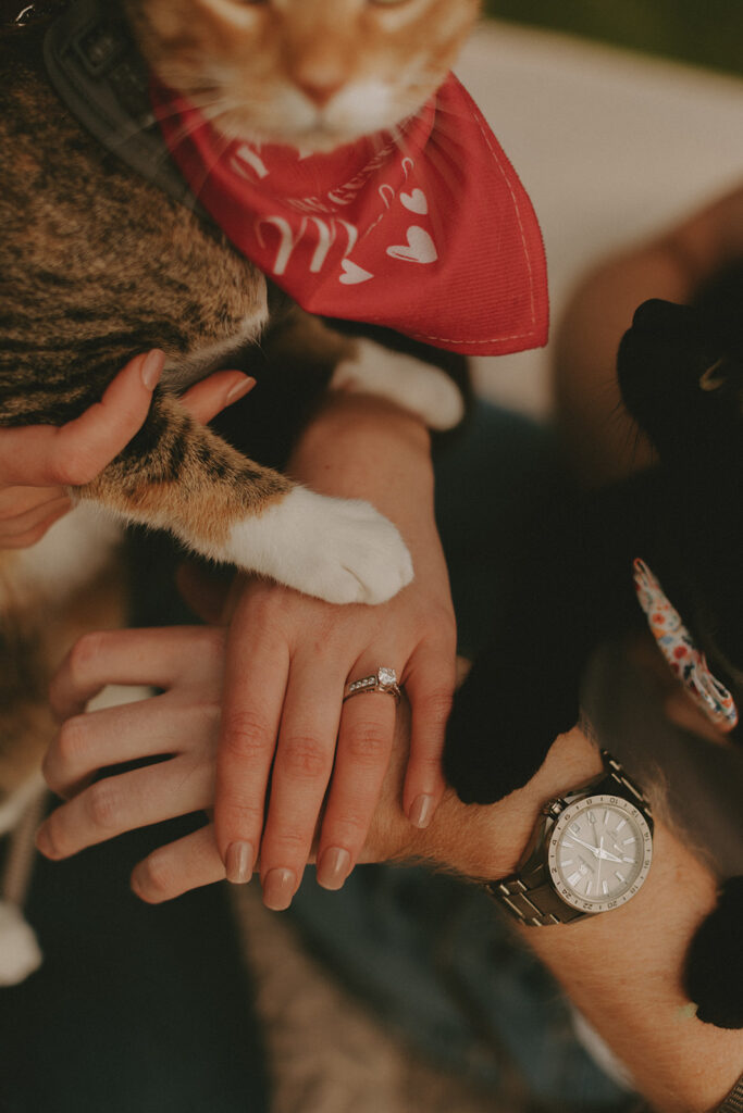 Laid Back Engagement Photos in Wisconsin