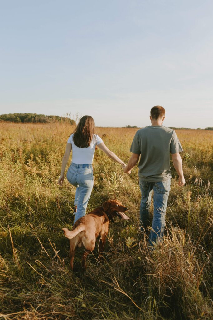 couple and their dog walking away from camera in a wisconsin field for engagement photos 